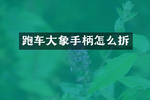 跑车大象手柄怎么拆