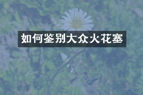 如何鉴别大众火花塞