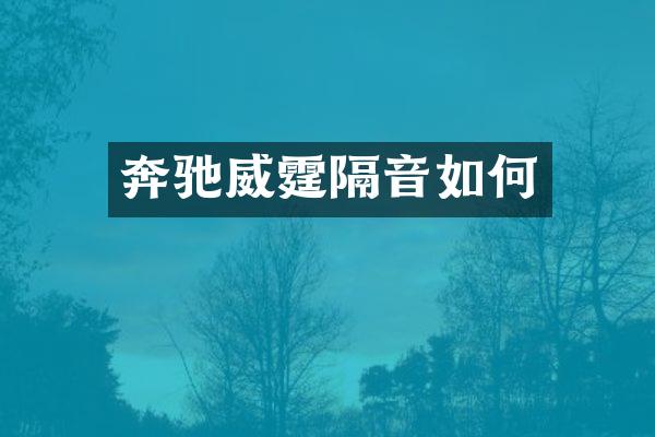 奔驰威霆隔音如何