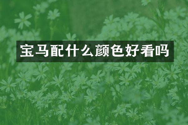 宝马配什么颜色好看吗