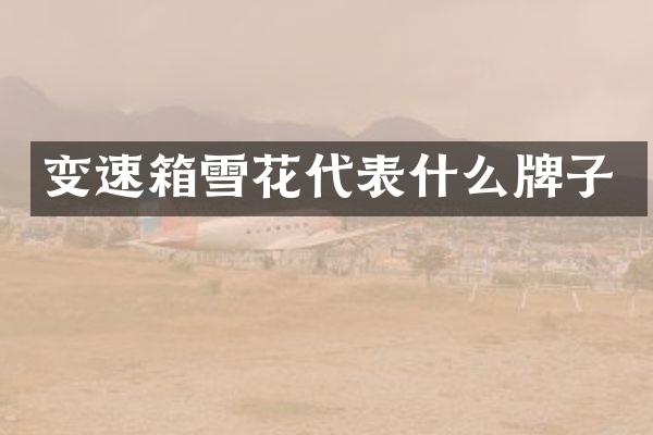 变速箱雪花代表什么牌子