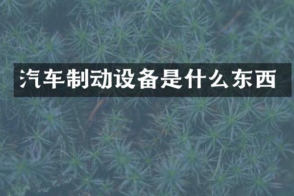汽车制动设备是什么东西