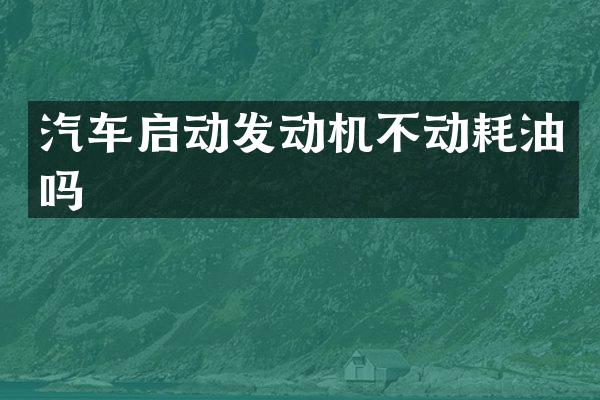 汽车启动发动机不动耗油吗