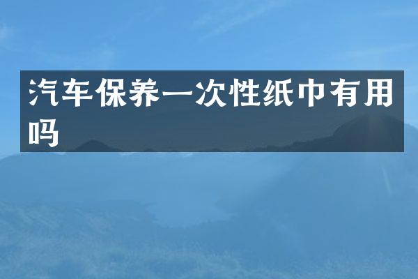 汽车保养一次性纸巾有用吗
