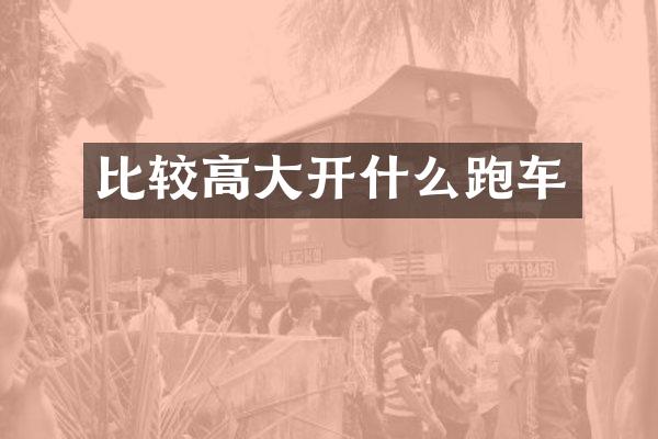 比较高大开什么跑车