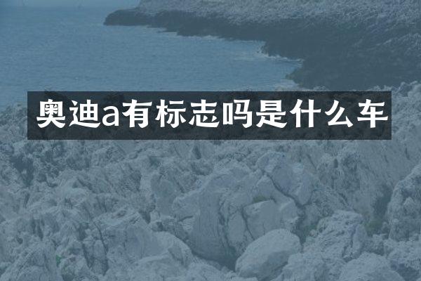 奥迪a有标志吗是什么车