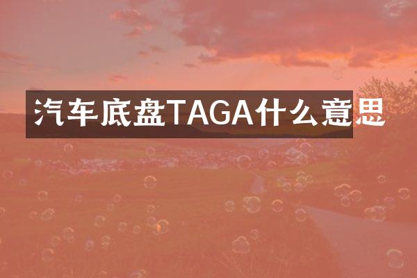 汽车底盘TAGA什么意思