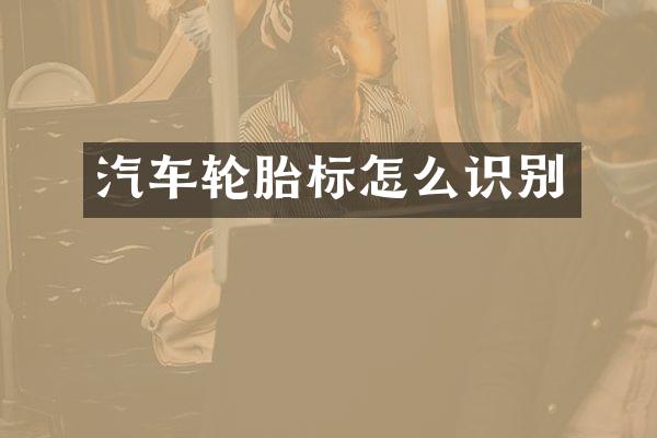 汽车轮胎标怎么识别