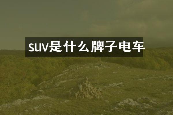 suv是什么牌子电车