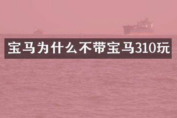 宝马为什么不带宝马310玩