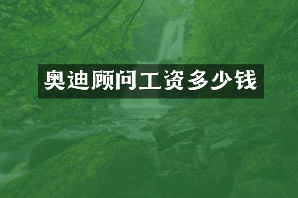 奥迪顾问工资多少钱