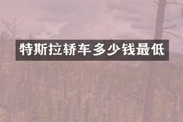 特斯拉轿车多少钱最低