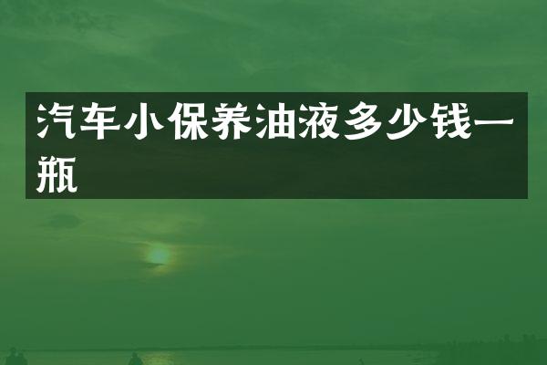 汽车小保养油液多少钱一瓶