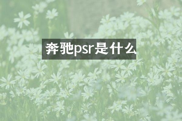 奔驰psr是什么