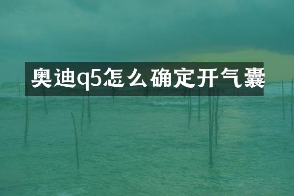 奥迪q5怎么确定开气囊
