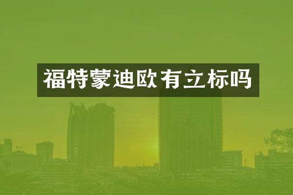 福特蒙迪欧有立标吗