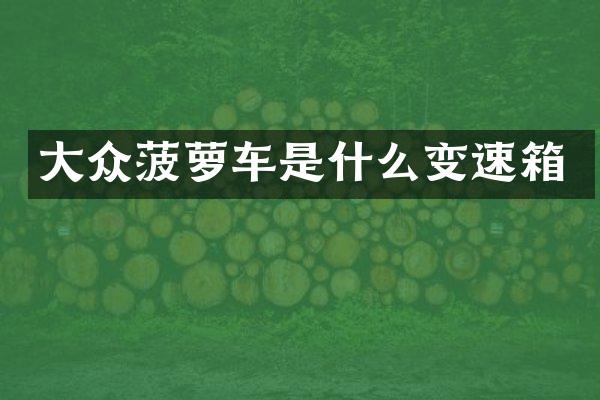 大众菠萝车是什么变速箱