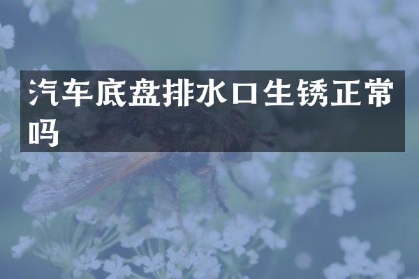 汽车底盘排水口生锈正常吗