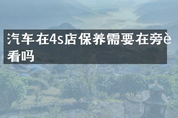 汽车在4s店保养需要在旁边看吗