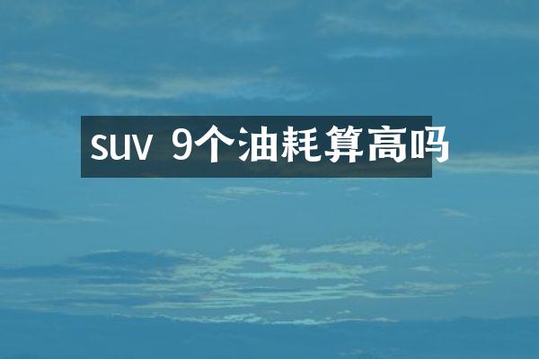 suv 9个油耗算高吗
