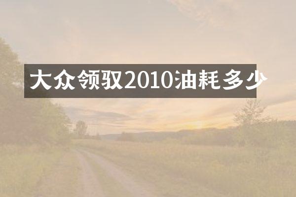 大众领驭2010油耗多少