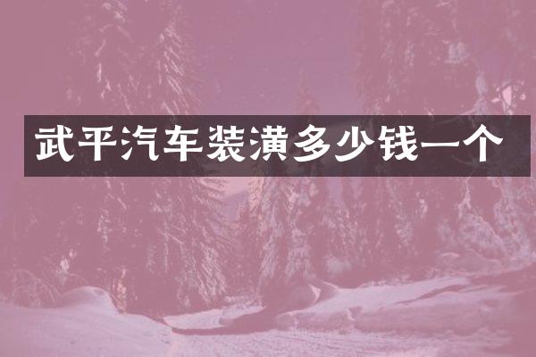 武平汽车装潢多少钱一个