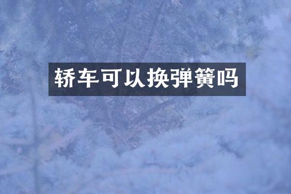 轿车可以换弹簧吗