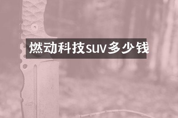 燃动科技suv多少钱