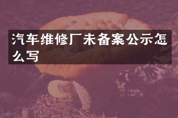 汽车维修厂未备案公示怎么写