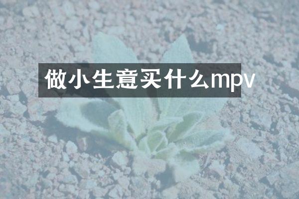 做小生意买什么mpv
