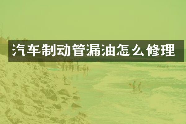 汽车制动管漏油怎么修理