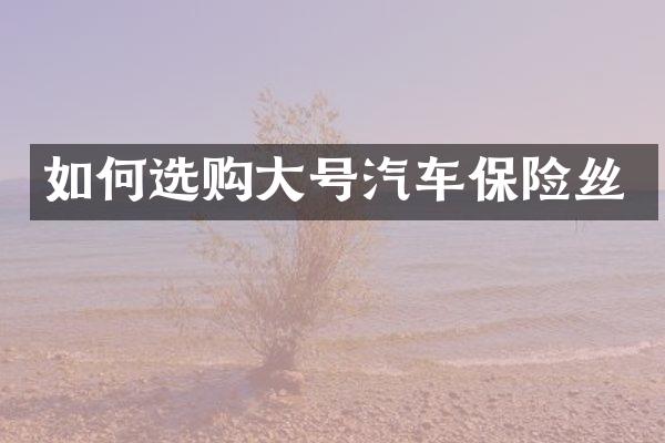 如何选购大号汽车保险丝