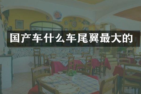 国产车什么车尾翼最大的