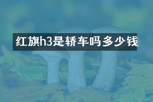 红旗h3是轿车吗多少钱