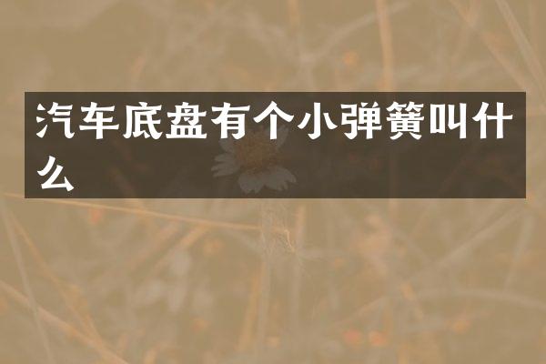 汽车底盘有个小弹簧叫什么