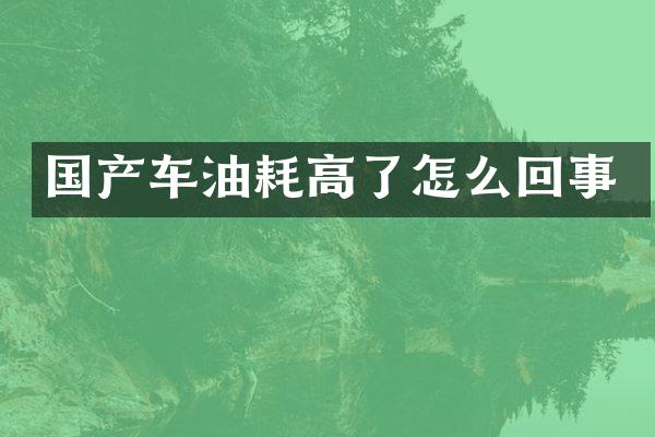 国产车油耗高了怎么回事