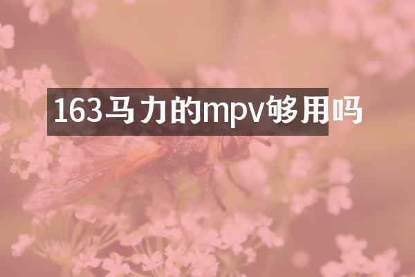163马力的mpv够用吗