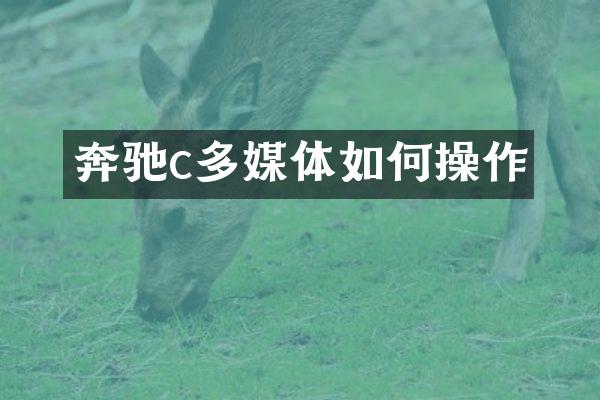 奔驰c多媒体如何操作