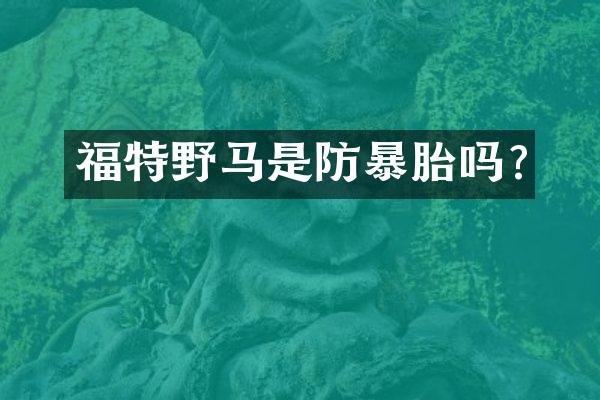 福特野马是防暴胎吗?