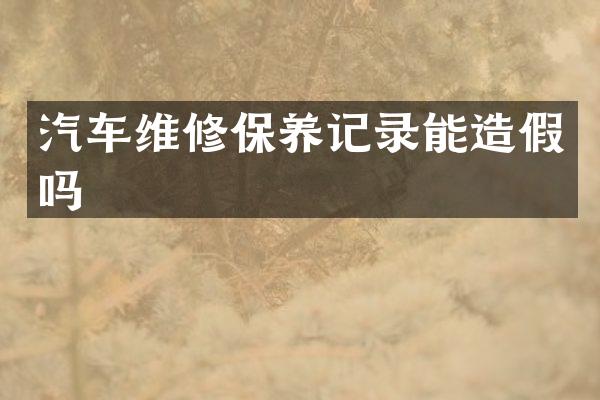 汽车维修保养记录能造假吗