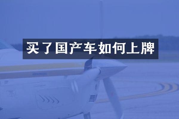 买了国产车如何上牌