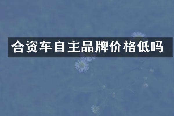 合资车自主品牌价格低吗