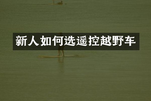 新人如何选遥控越野车