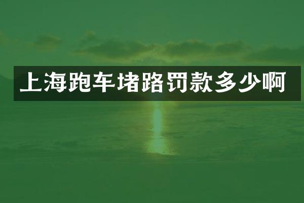 上海跑车堵路罚款多少啊