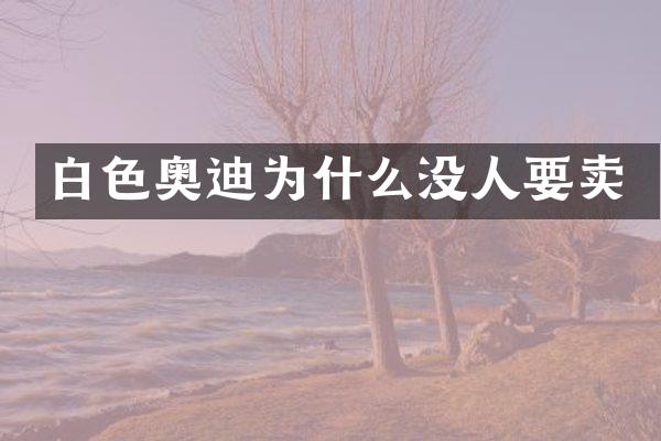 白色奥迪为什么没人要卖
