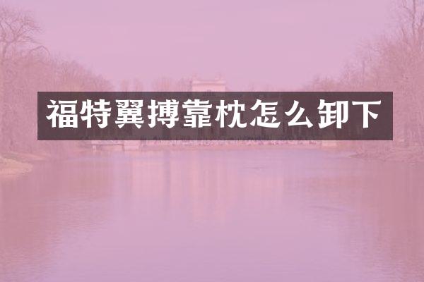 福特翼搏靠枕怎么卸下
