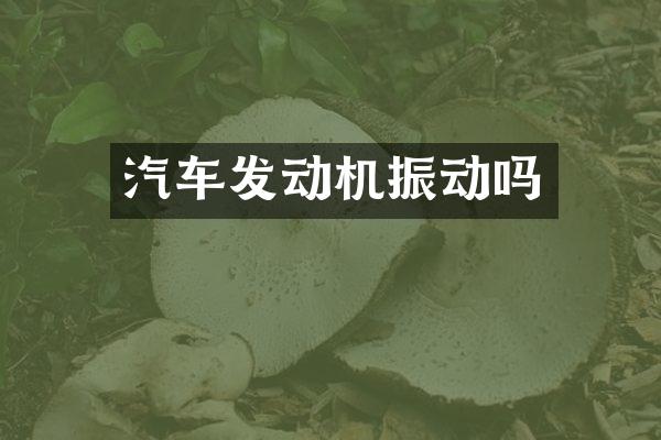 汽车发动机振动吗