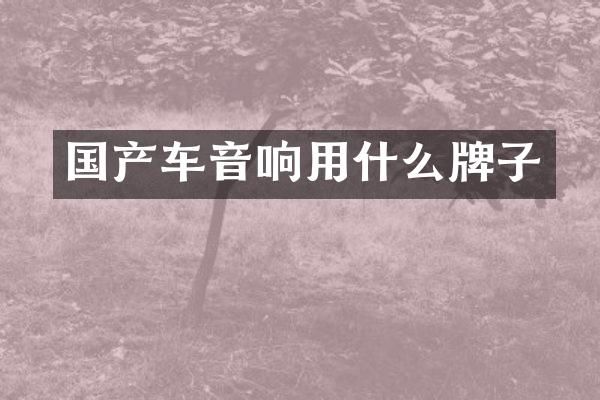 国产车音响用什么牌子