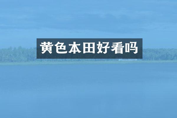 黄色本田好看吗