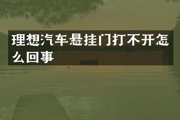 理想汽车悬挂门打不开怎么回事